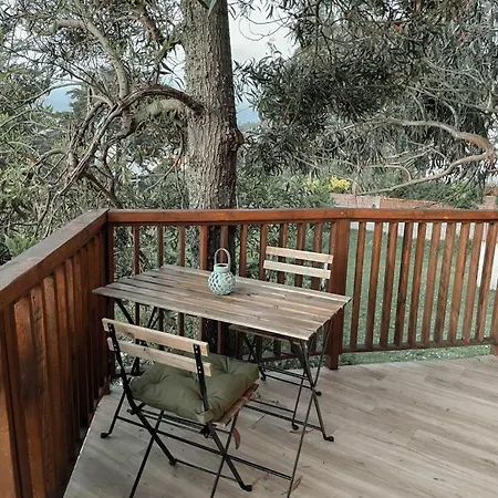 Cabana Pia Paxaro * Nigrán