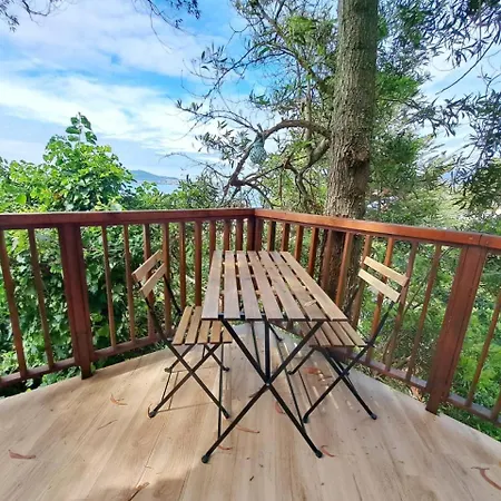 Cabana Pia Paxaro * Nigrán