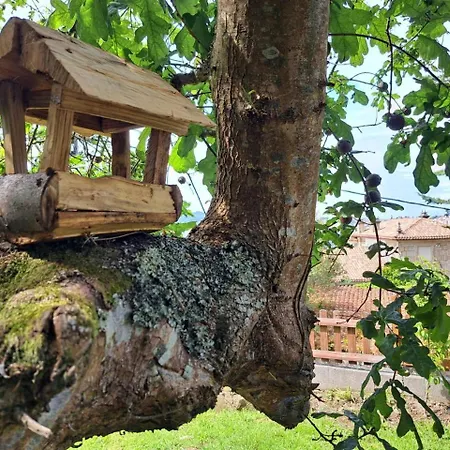 Cabana Pia Paxaro Feriehus *