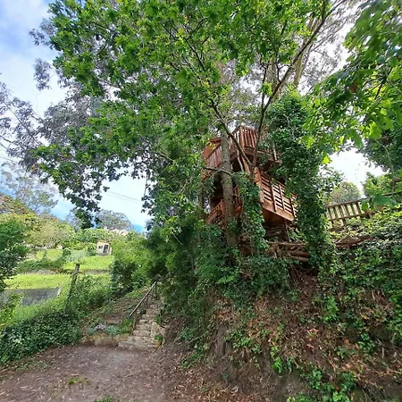 Cabana Pia Paxaro * Nigrán